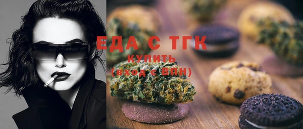 дмт Ельня