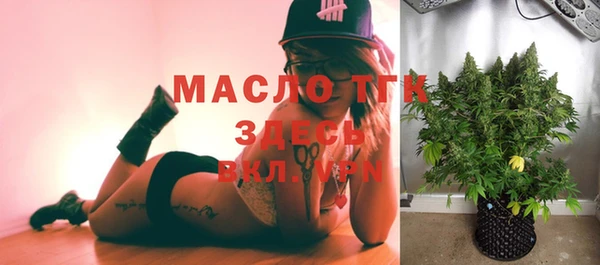 дмт Ельня