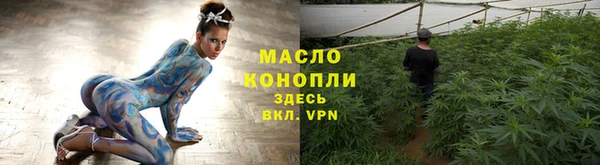 дмт Ельня
