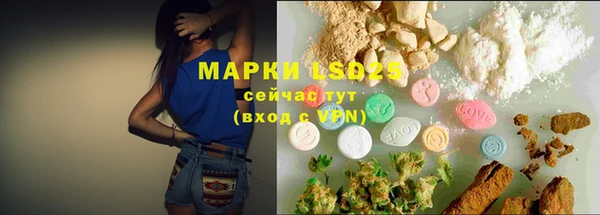дмт Ельня