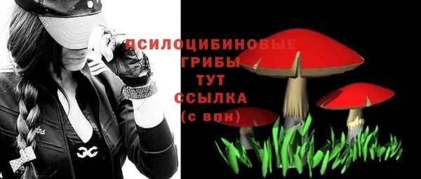 герыч Елизово