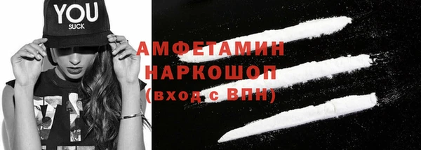 дмт Ельня