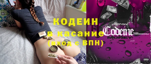 дмт Ельня