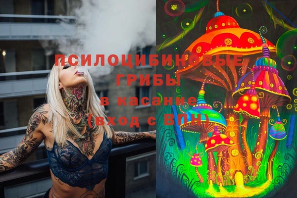 герыч Елизово