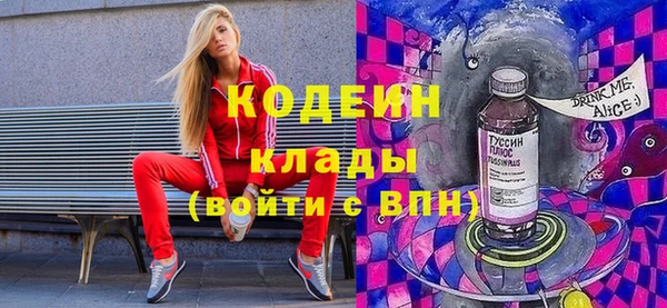 дмт Ельня