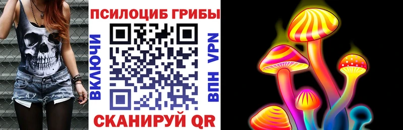 Галлюциногенные грибы Magic Shrooms  ОМГ ОМГ рабочий сайт  Свободный  даркнет сайт 